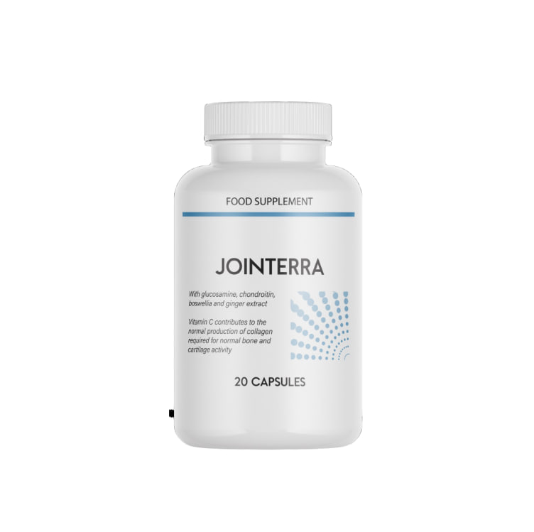 Jointerra